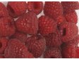 MALINY 125g Holandsko