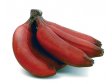 BANÁNY na vaření Platain 1kg Ekvádor