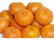 MANDARINKY skl. XX Španělsko