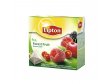 ČAJ Forest Fruit 20x2g pyramida