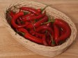 CHILLI paprika červená Holandsko (3)