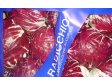 SALÁT radicchio červený Itálie (2,5)