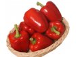 PAPRIKA červená GG Španělsko/Izrael 1kg (5)