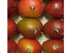 MANGO 1ks
