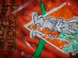 KAROTKA igelit Kimco (nová sklizeň) Holandsko (5)
