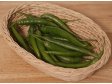 CHILLI paprika zelená Holandsko (3)