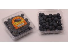 BORŮVKY velké 125g Belgie/Chille