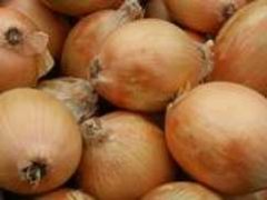 CIBULE žlutá menší 40-60 Hol. (5)