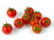 RAJČATA  červená keře EXTRA 5kg Španělsko