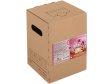 KONCENTRÁT (Juice bar) Jablko & Echinacea 5L CLASSICO KONCENTRÁT (Juice bar) Jablko & Echinacea 5L CLASSICO