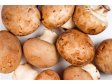 ŽAMPIONY hnědé Portobello čerstvé cca 100g/1ks CZ