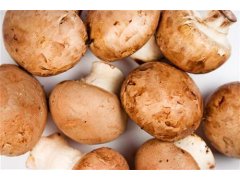 ŽAMPIONY hnědé Portobello čerstvé cca 100g/1ks CZ