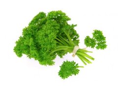 PETRŽEL kadeřavá 1kg CZ/Německo/Itálie