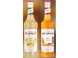 Monin set ZÁZVOROVÝ GROG