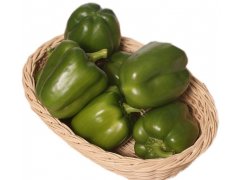PAPRIKA zelená střední 5kg Holandsko PAPRIKA zelená střední 5kg Holandsko