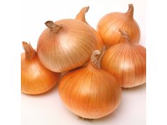 CIBULE   žlutá střední 60-80 25kg Německo/Holandsko