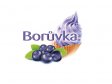 SMĚS zmrzlinová borůvka 2kg