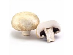ŽAMPIONY čerstvé střední 35-50mm 3kg CZ