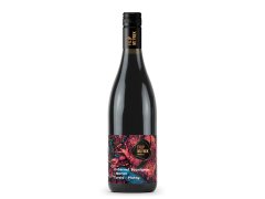 VÍNO CABERNET SAUVIGNON 0,75lit.R.2025 výběr z hroznů (ČR) suché "Turold"