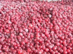 RYBÍZ červený 2,5kg (mražené)