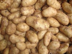 BRAMBORY Grenaille 10kg Německo AKCE