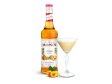 SIRUP Monin Broskev& Meruňka 0,7l       