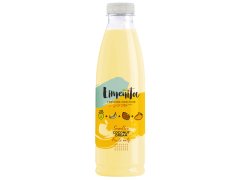ŠŤÁVA smoothie Coconut dream 750 ml ŠŤÁVA smoothie Coconut dream 750 ml