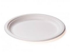 TALÍŘ cukrová třtina 16cm (50 ks v sáčku)