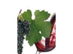 VÍNO STÁČENÉ MERLOT 1lit. suché VÍNO STÁČENÉ MERLOT 1lit. suché