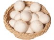 ŽAMPIONY krémové čerstvé 3kg CZ