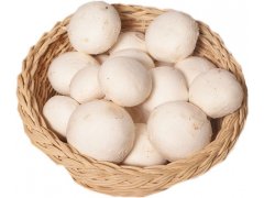 ŽAMPIONY krémové čerstvé 3kg CZ ŽAMPIONY krémové čerstvé 3kg CZ