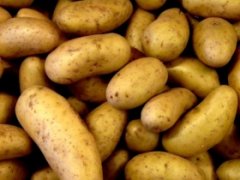 BRAMBORY neprané A  25kg Německo