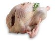 KRŮTA CELÁ cca 13 kg