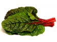 SALÁT Red chard balený 125g/ks Holandsko jakost 1
