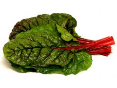 SALÁT Red chard balený 125g/ks Holandsko jakost 1 SALÁT Red chard balený 125g/ks Holandsko jakost 1