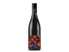 VÍNO MERLOT 0,75lit.R.2025 výběr z hroznů (ČR) suché "Plotny"