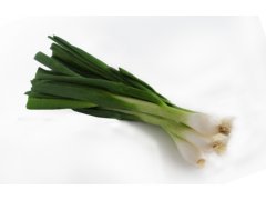 CIBULKA jarní 14ks CZ AKCE