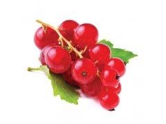 RYBÍZ červený Holandsko 150g