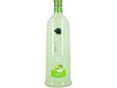 VODKA JELZIN apfel 1lit.