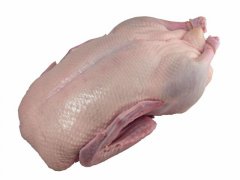 KACHNA s droby 1,7kg (mražené) KACHNA s droby 1,7kg (mražené)