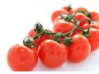RAJČATA cherry žluté keř EXTRA 3kg Španělsko