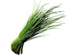 PAŽITKA 1kg CZ