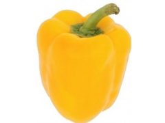 PAPRIKA žlutá VELKÁ EXTRA 5kg Holandsko