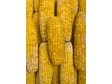 KUKUŘICE Klasy celé 9kg (mražené)