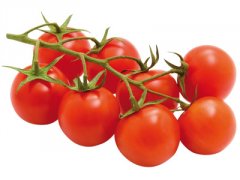 RAJČATA cherry červená ovalná 250g Maroko