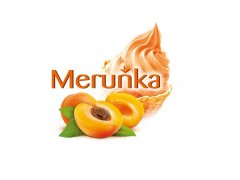 SMĚS zmrzlinová vodová Tatra meruňka 1kg SMĚS zmrzlinová vodová Tatra meruňka 1kg