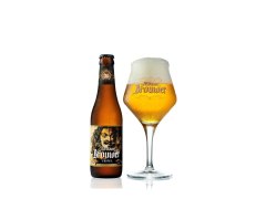 PIVO Roman Adriaen Tripel 0,33l sklo