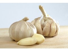 ČESNEK kal. 60+ 10kg  Španělsko