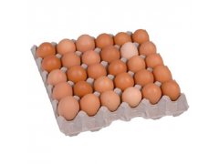 VEJCE PODESTÝLKOVÁ 30 kusů L plato (01)