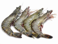 KREVETY Black Tiger celé syrové 8/12 - 1000g/800g (mražené) KREVETY Black Tiger celé syrové 8/12 - 1000g/800g (mražené)